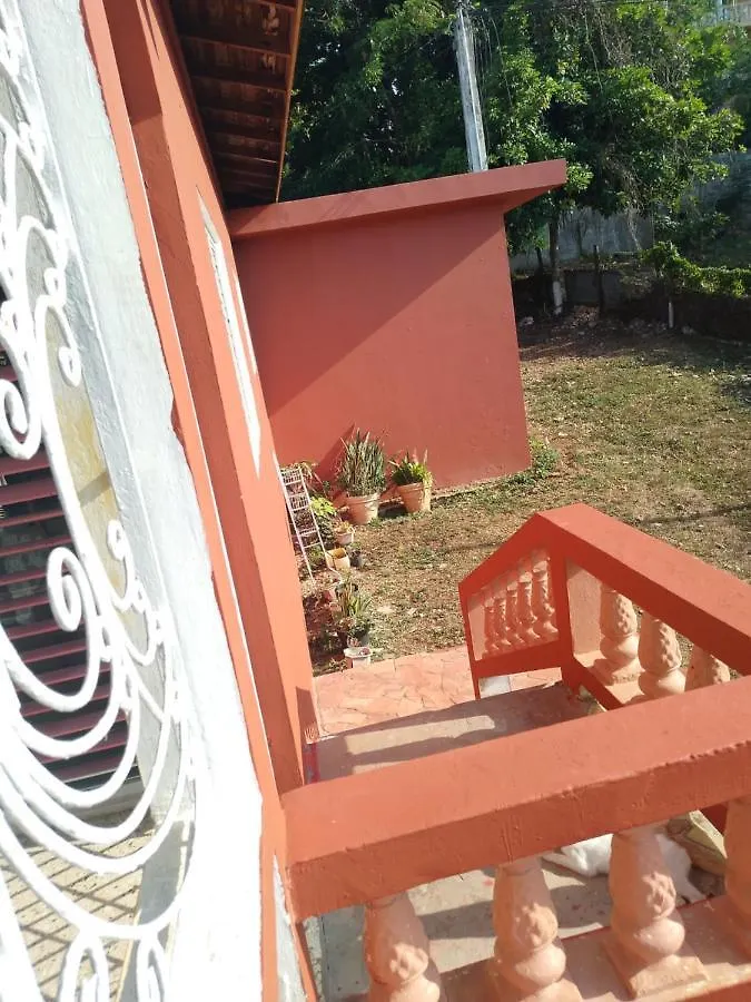 Mango Walk Homestay Montego Bay