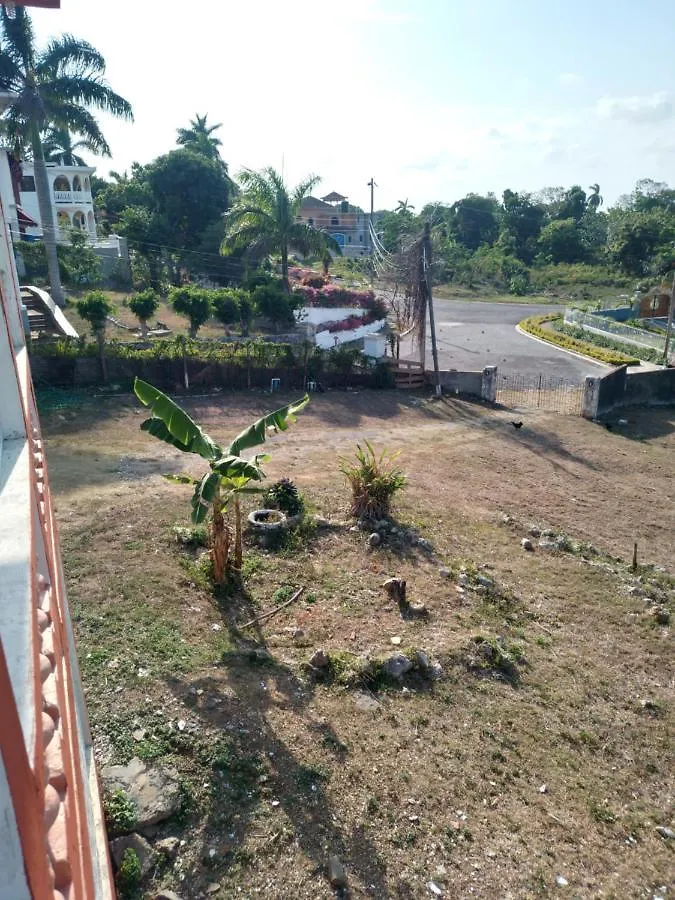 Mango Walk Homestay Montego Bay Jamaica