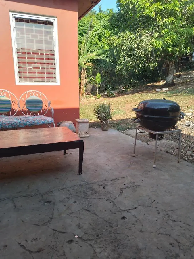 Mango Walk Homestay Montego Bay
