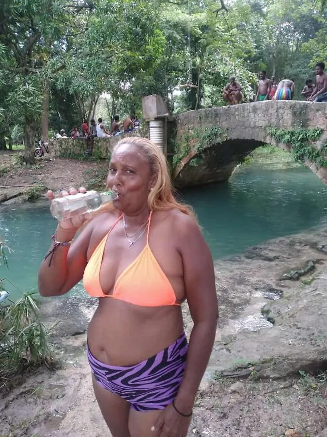 Mango Walk Homestay Montego Bay 0*,
