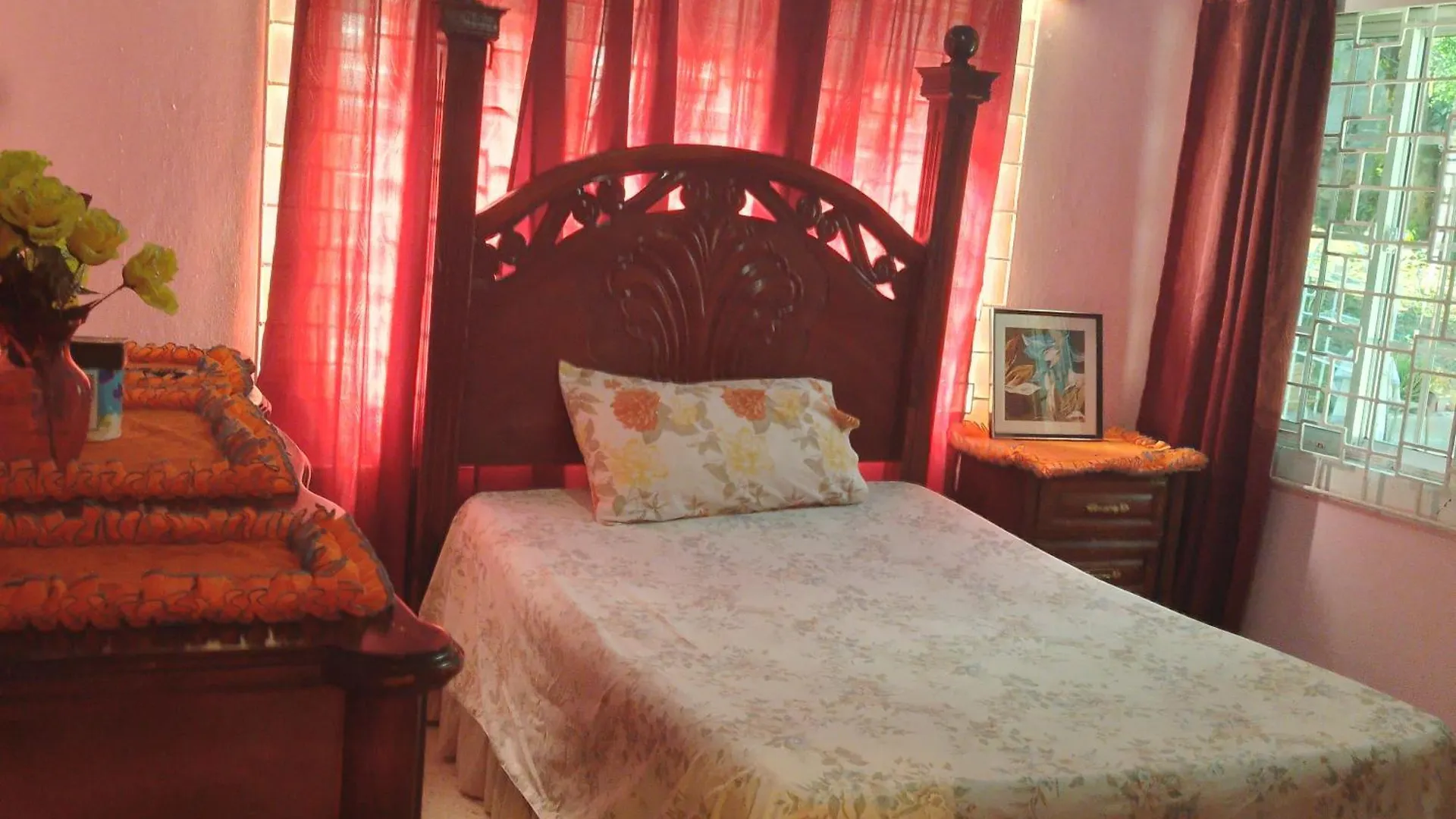 Mango Walk Homestay Montego Bay