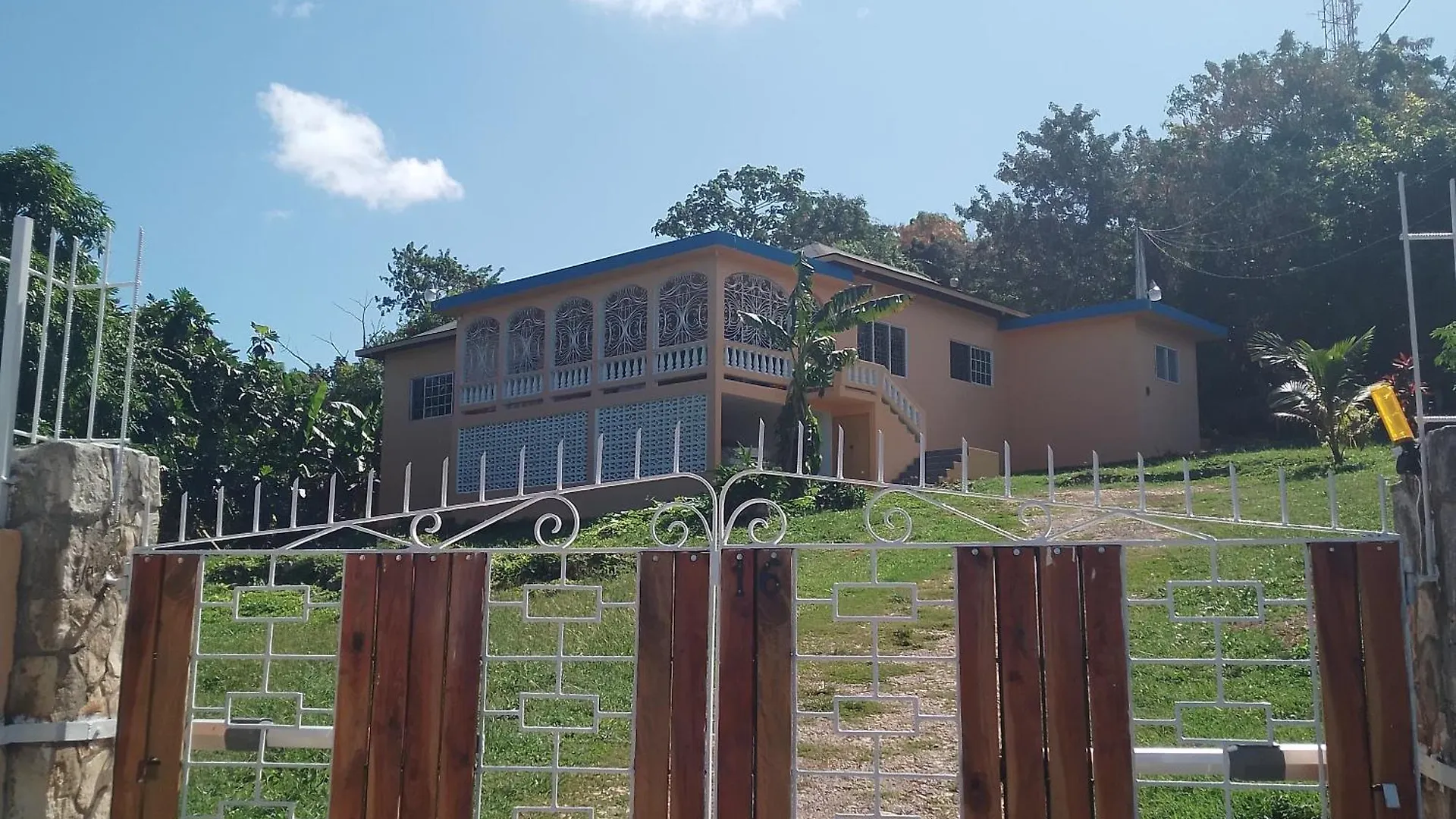 Mango Walk Homestay Montego Bay
